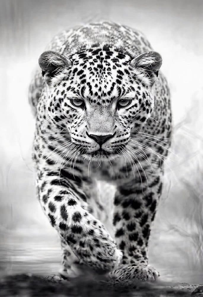 Dekoratif duvar paneli HD26323 — leopar, siyah ve beyaz